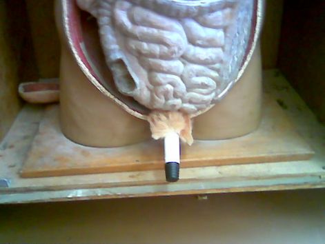 kep010.jpg